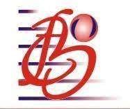 BFC Capital logo image